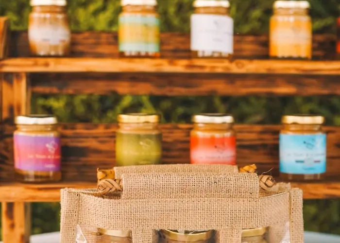 Maeva Escapades De La Geres 3* Surgères