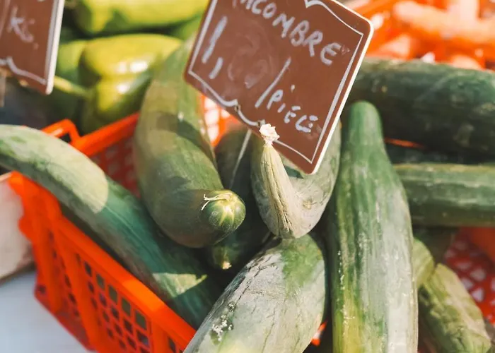 Maeva Escapades De La Geres 3* Surgères