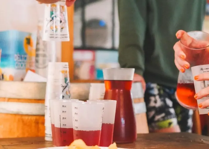 Maeva Escapades De La Geres 3* Surgères